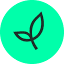 Seedcamp